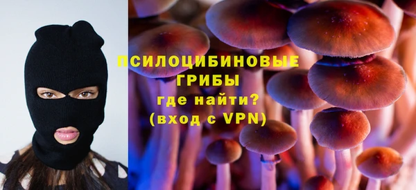 прущие крисы Медногорск