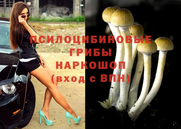 дмт Мегион