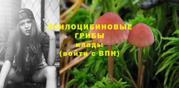 дмт Мегион