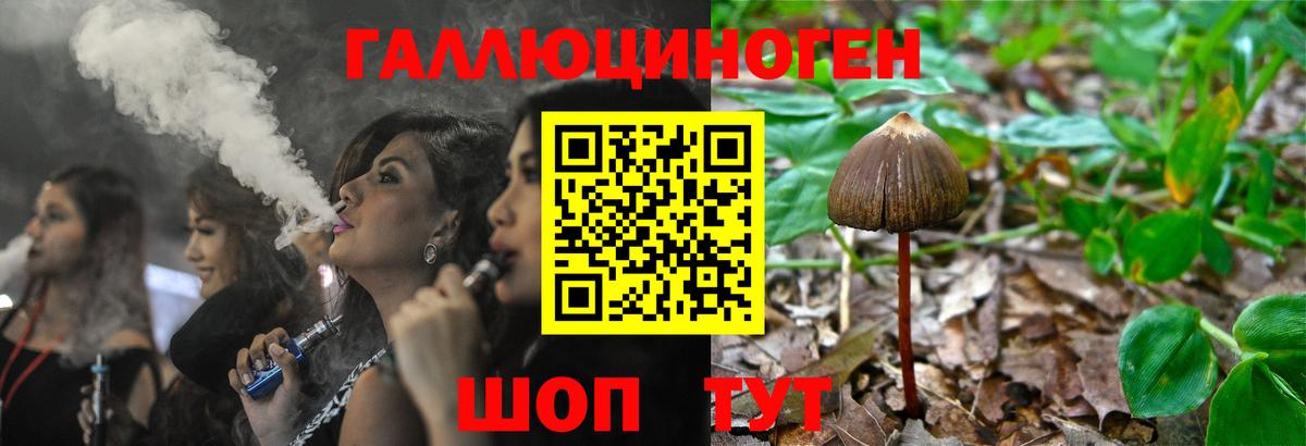 Сургут  Псилоцибиновые грибы Psilocybe  Вход с VPN 